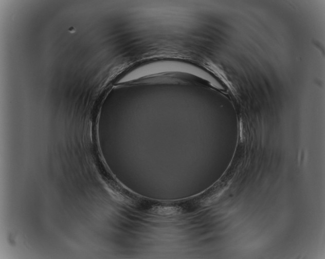 X0000091670205200709201226