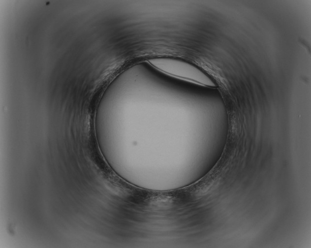 X0000091670206200709201226