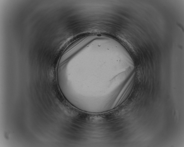 X0000091670208200709201226