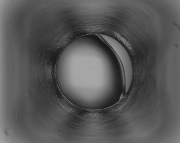 X0000091670209200709201226