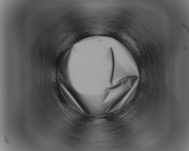 X0000091670210200709201226