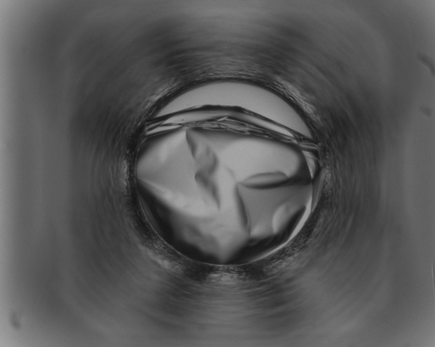 X0000091670211200709201226