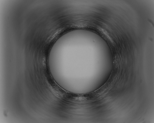 X0000091670212200709201226