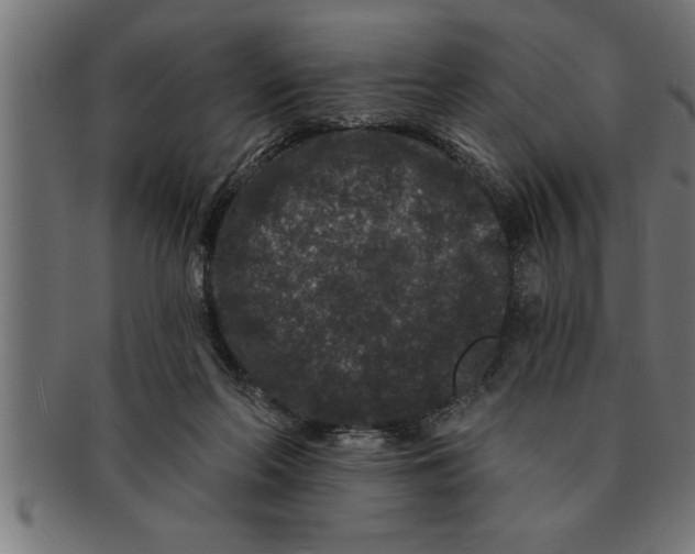 X0000091670214200709201226