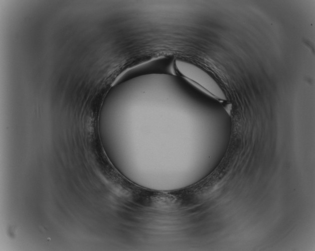 X0000091670215200709201226