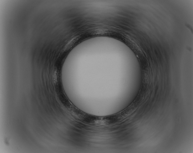 X0000091670216200709201226