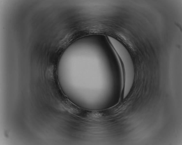 X0000091670217200709201226