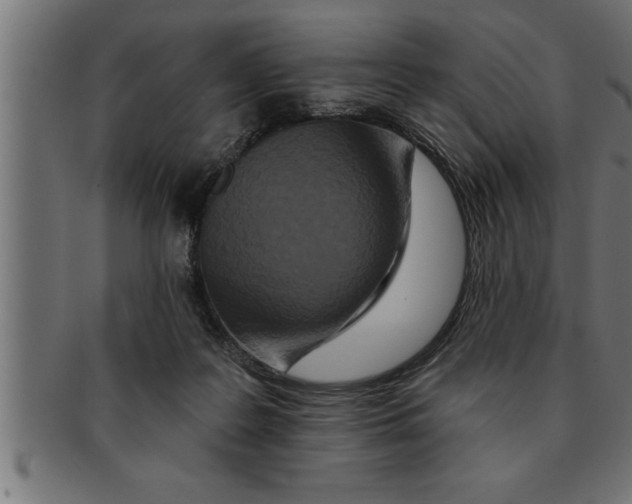 X0000091670219200709201226