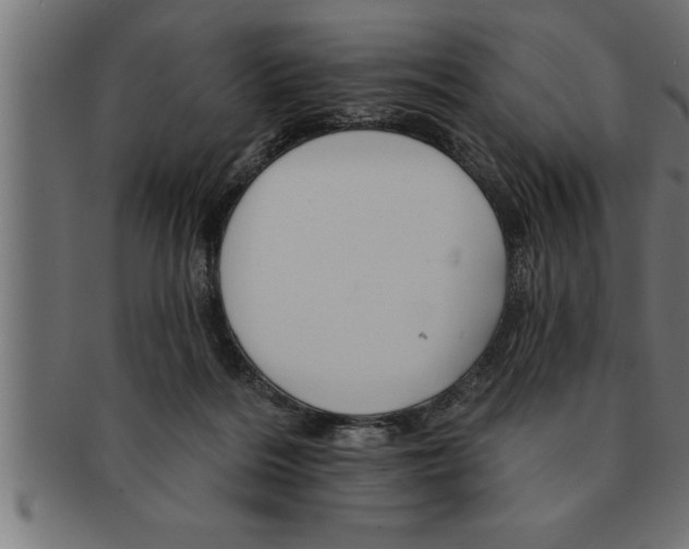 X0000091670220200709201226