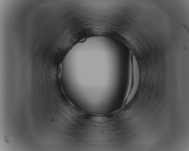 X0000091670221200709201226