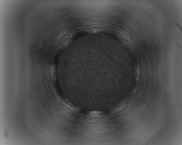 X0000091670222200709201226