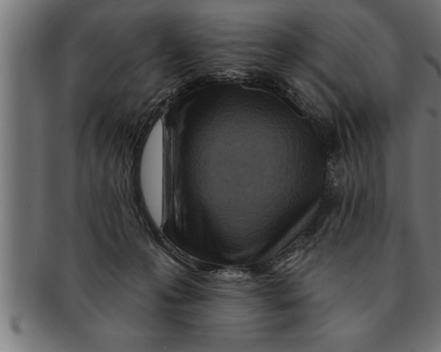 X0000091670223200709201226