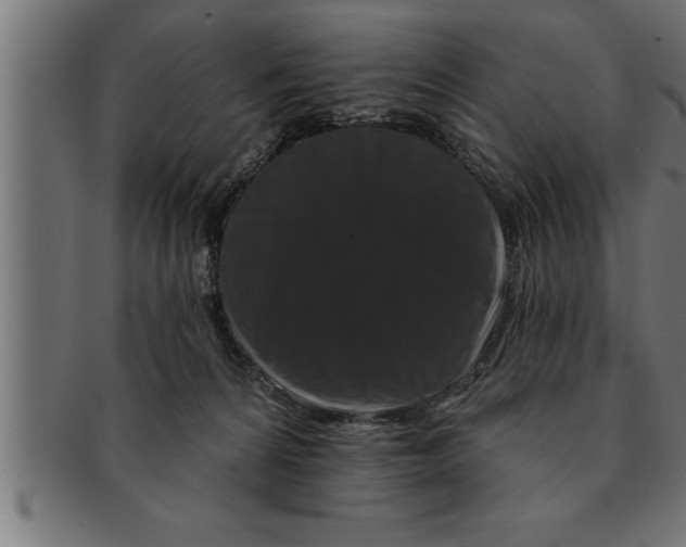 X0000091670224200709201226