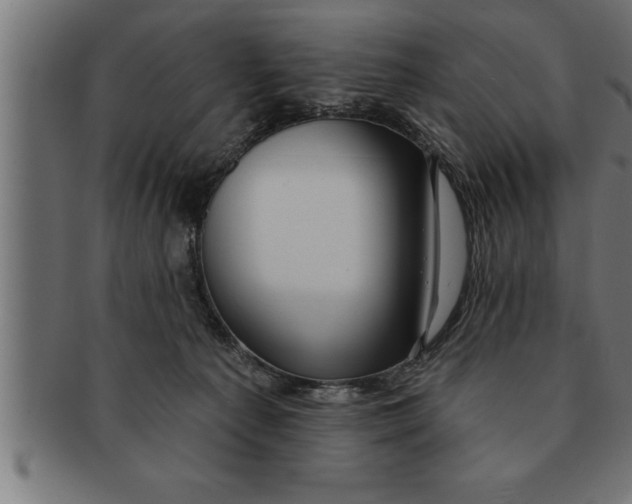 X0000091670225200709201225