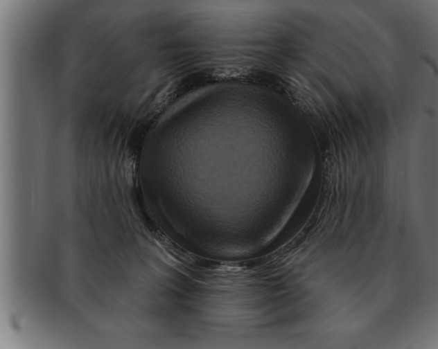 X0000091670227200709201225