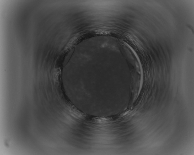 X0000091670229200709201225