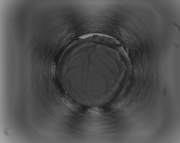 X0000091670231200709201225