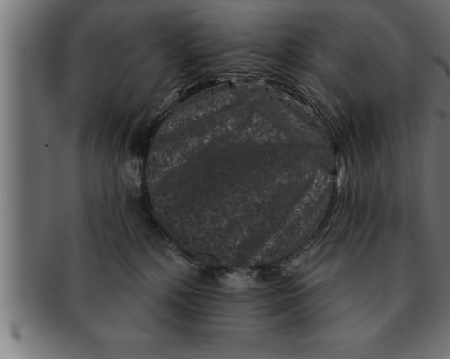 X0000091670232200709201225