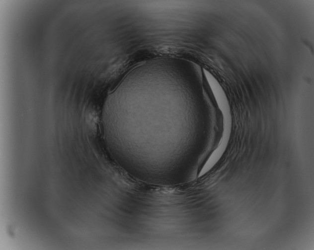 X0000091670235200709201225