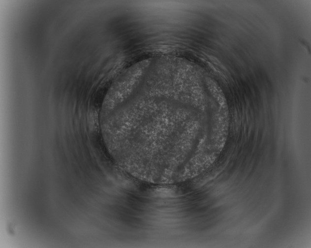 X0000091670236200709201225