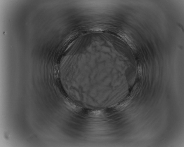 X0000091670237200709201225