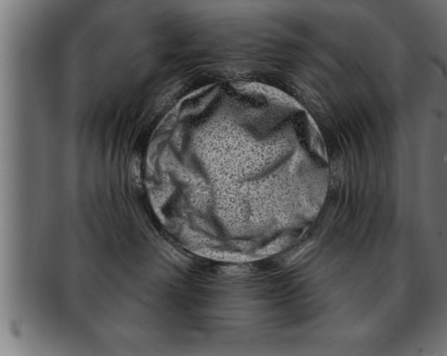 X0000091670238200709201225