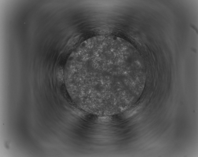 X0000091670240200709201225