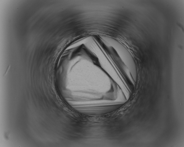 X0000091670241200709201225