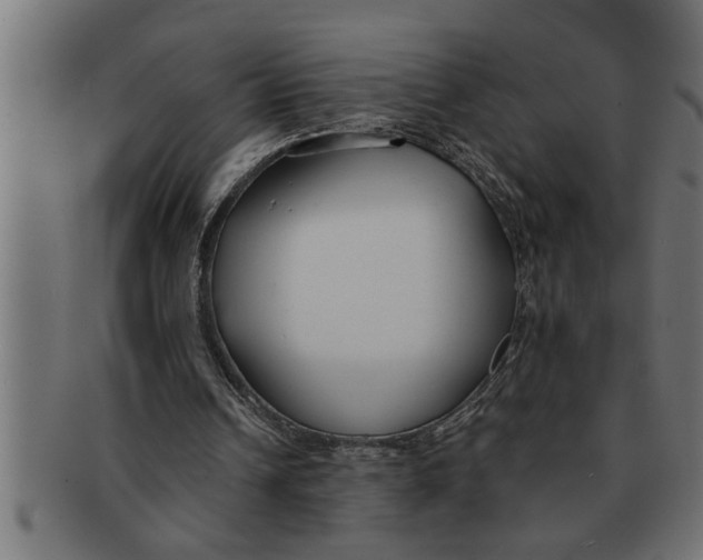 X0000091670242200709201225