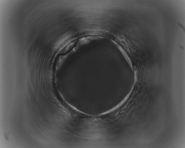 X0000091670243200709201225