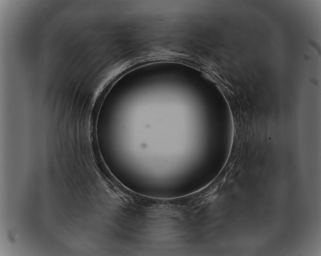 X0000091670244200709201225