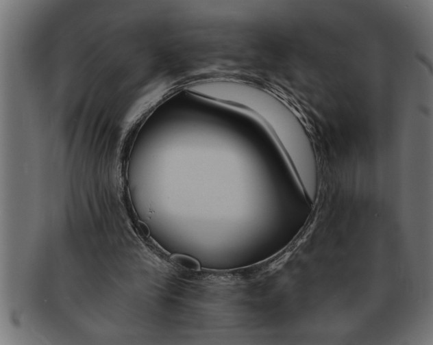 X0000091670245200709201225