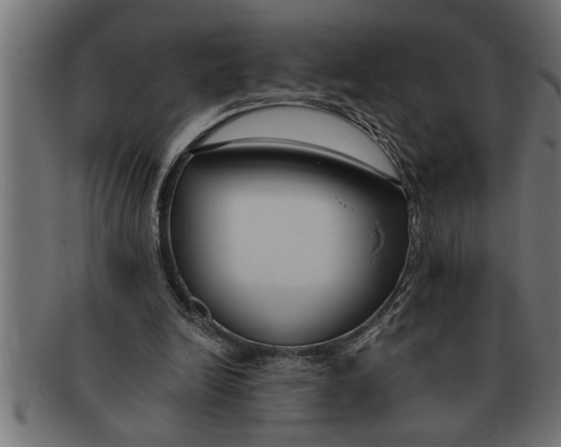 X0000091670246200709201225