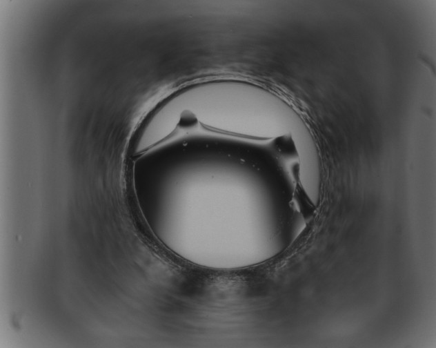 X0000091670248200709201225