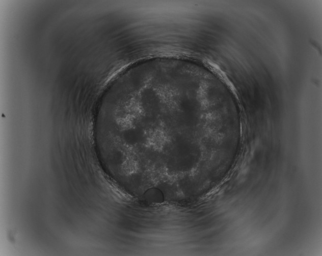 X0000091670249200709201225