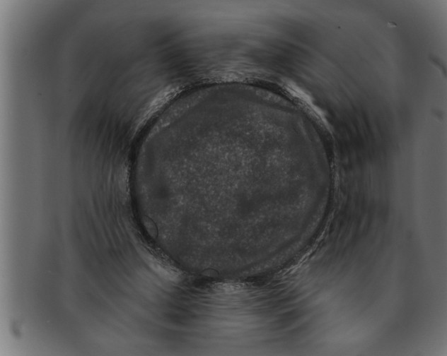 X0000091670250200709201225