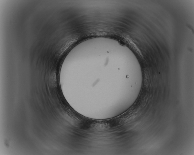 X0000091670251200709201225