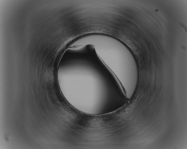 X0000091670252200709201225