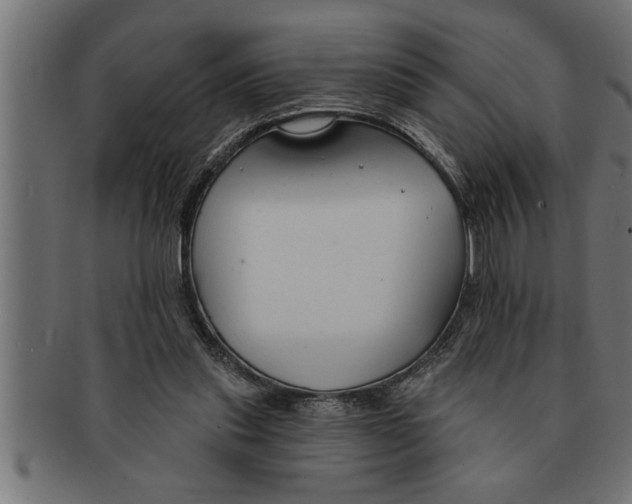 X0000091670253200709201225