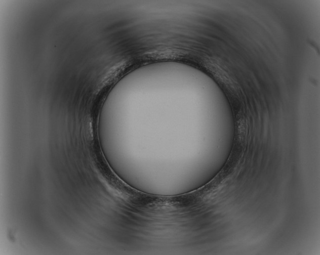 X0000091670254200709201225