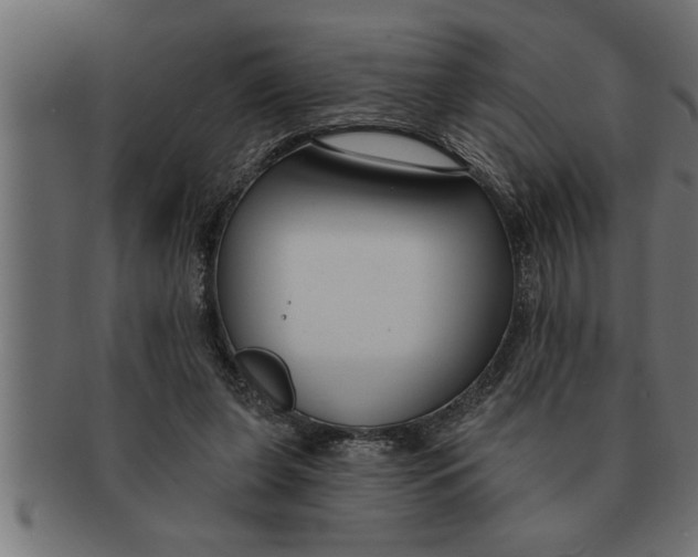 X0000091670255200709201225