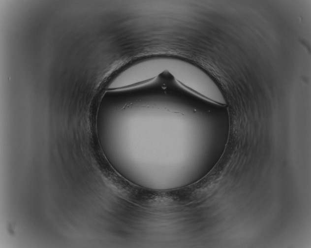 X0000091670256200709201225