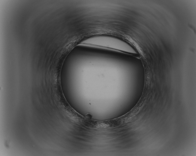 X0000091670257200709201225