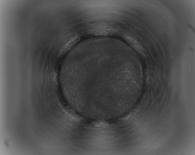 X0000091670258200709201225