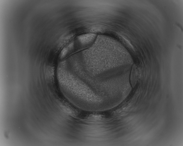 X0000091670260200709201225