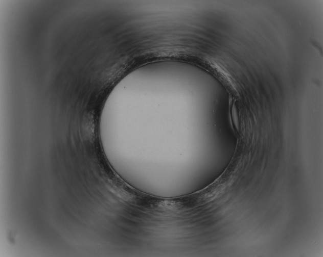 X0000091670261200709201225