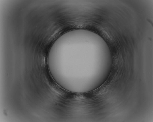 X0000091670262200709201225