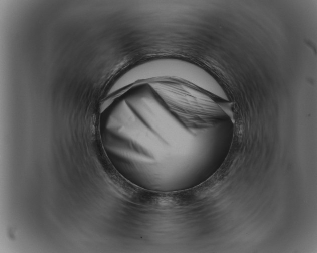 X0000091670264200709201225