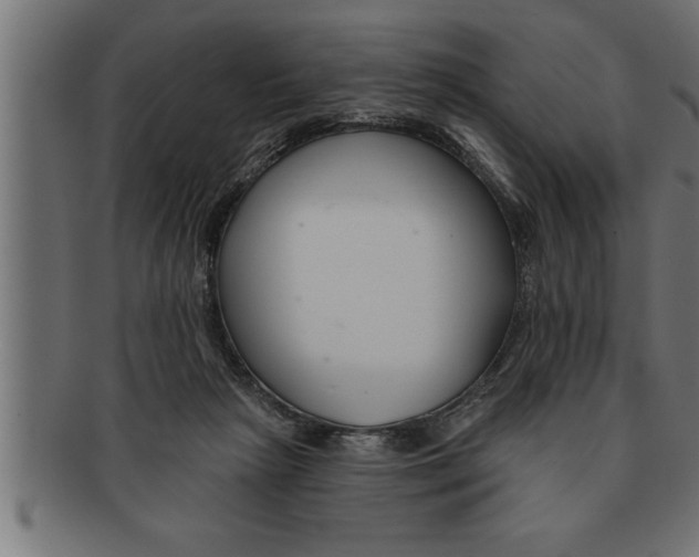 X0000091670265200709201225