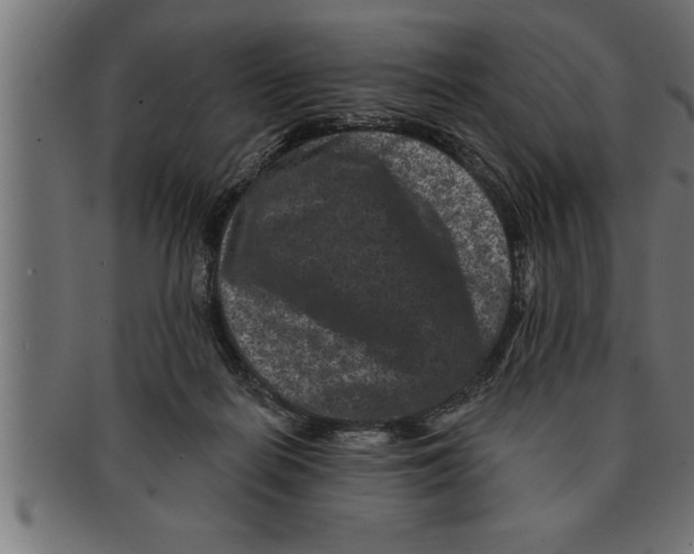 X0000091670266200709201225